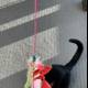 Feline Adventure: A Cat on a Leash