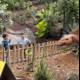 Jurassic Adventures in the Backyard