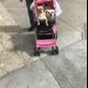 Man Takes His Furry Babies on a Stroll
