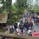 A Vibrant Crowd in Disneyland Park