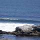 Coastal Harmony