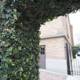 Ivy Covered Archway in Garden Setting