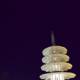 Lunar Serenity: Pagoda by Night