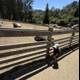 Curious Adventures at Tilden Nature Area
