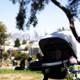 An Unusual Stroller Trip in Delores Park, 2023