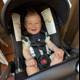 Joyful Moments in Walnut Creek