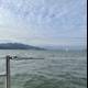 Sailing into the Scenic San Francisco Bay