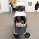 Strollers and Art