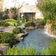 Serene Pond with a Cascading Waterfall in a Natural Garden