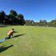Playing Lawn Bowling under the Blue Sky