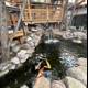 Serene Koi Pond with Cascading Waterfall