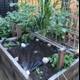 Raised Garden Bed with Tarped Plants