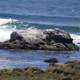 Coastal Serenity in Cayucos