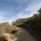 Serene Dirt Pathway in Eagle Rock