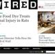 Wired Magazine Website Featuring Isabelle Fuhrman and Feline Friends