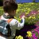Sublime Serenity: Junior Botanist at Play