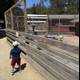 Curious Encounters at the Zoo