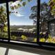 Through the Window: A View of the Scribe Vineyard